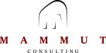 Mammut Consulting GmbH